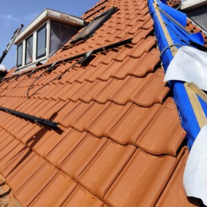 oplus_32 dakdekker in aalsmeer