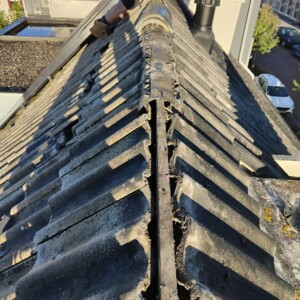 oplus_32 Nokvrosten vervangen