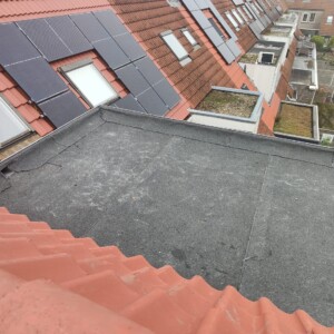oplus_0